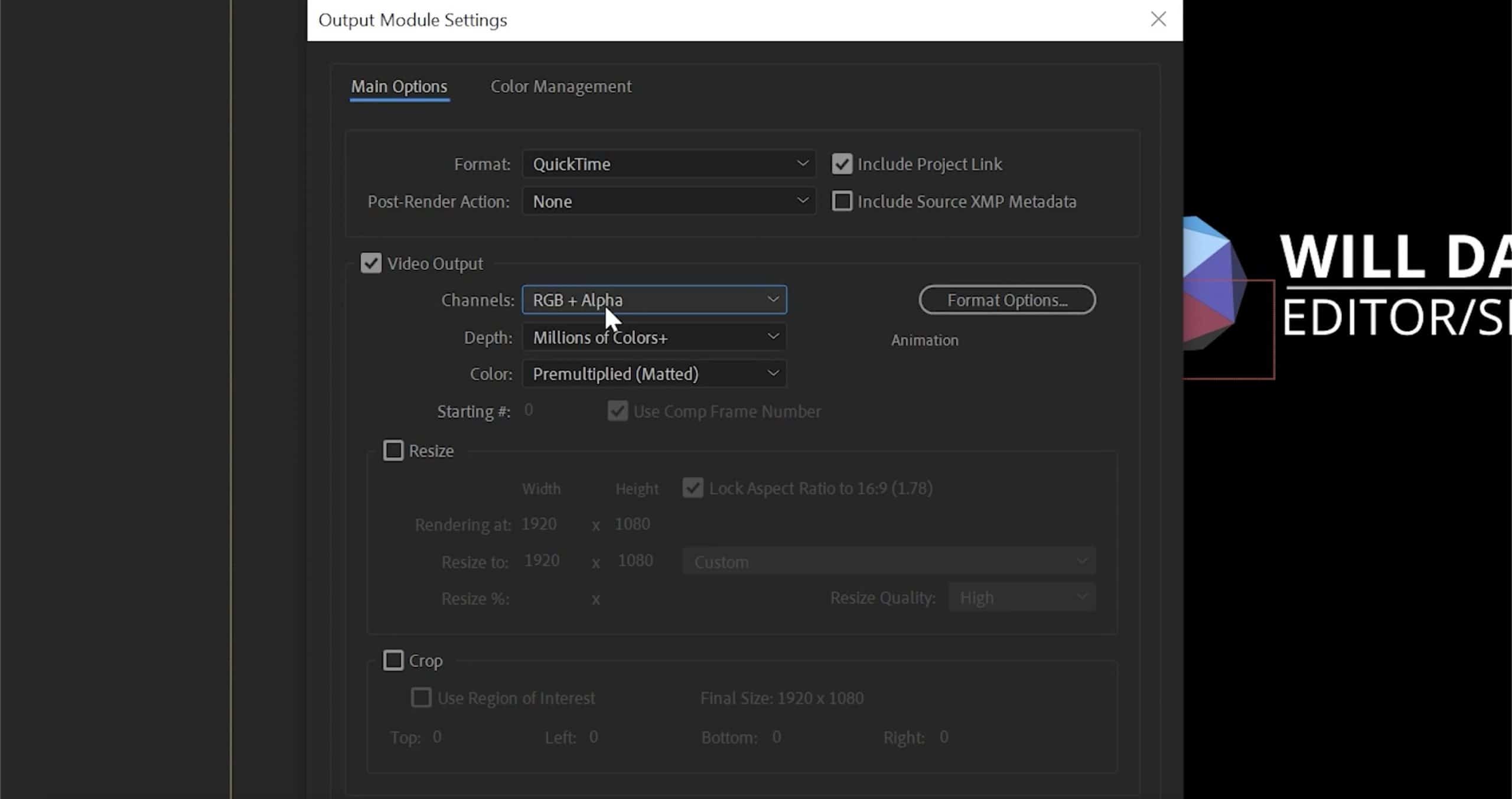 adobe premiere vs after effects