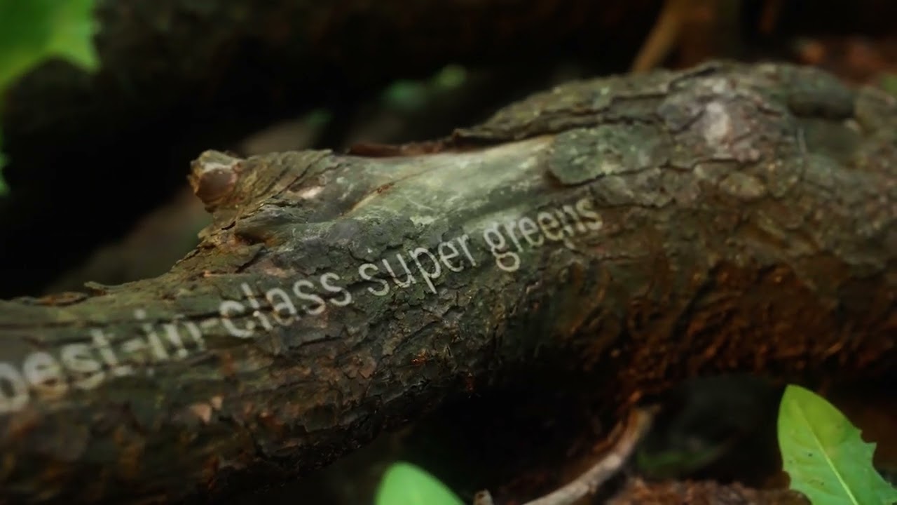 Home ceuexk6L37w HD - Home